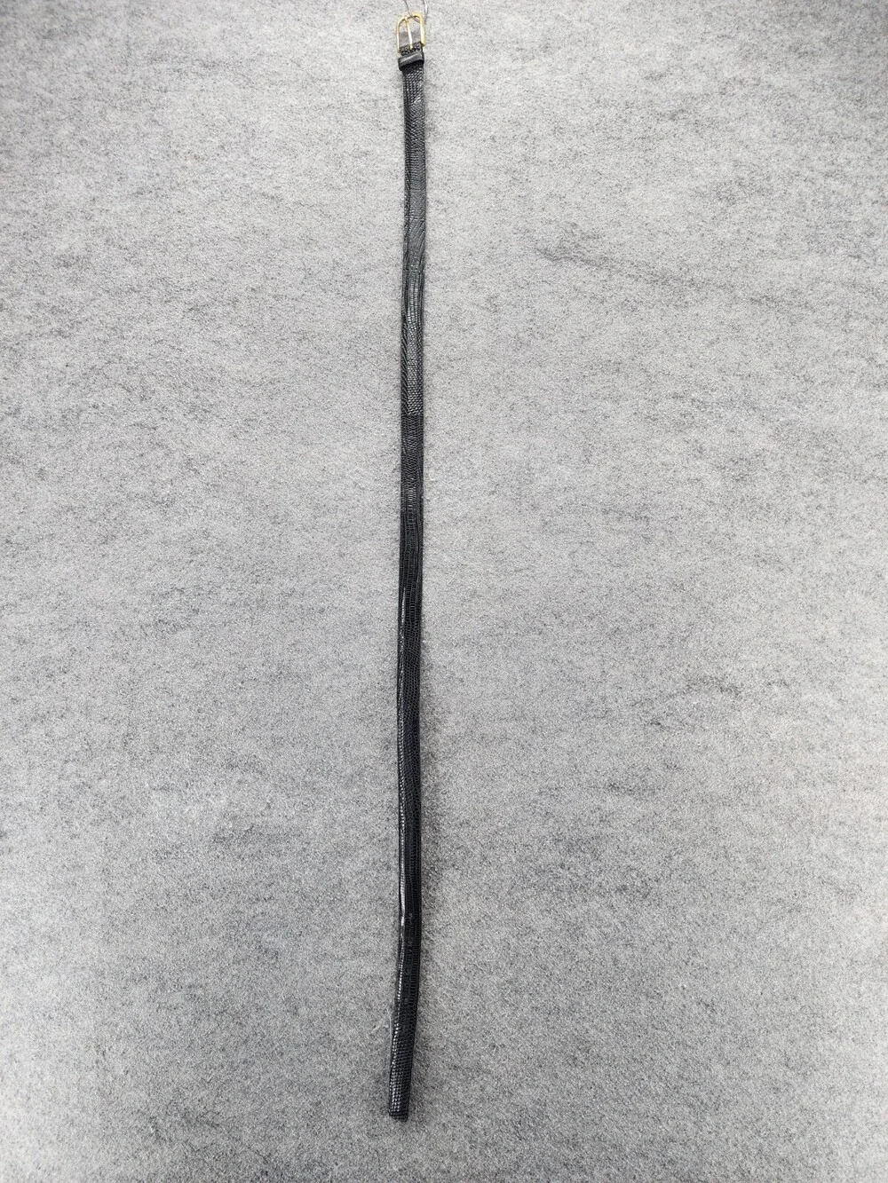 Brighton belt womens